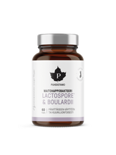 LactoSpore® & Boulardii Maitohappobakteeri - 60 kaps