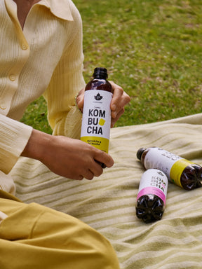 Luomu Kombucha Inkivääri & Sitruuna - 400 ml 12-pack